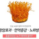 귀뚜라미 동충하초 코디세핀 함량 11,876 이미지