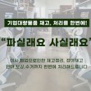 파실래요사실래요 이미지