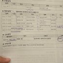 디로드 | 원인 모를 어지럼증, 심박수 증가, 잃어버린 봄 (갑상선기능항진증 후기)