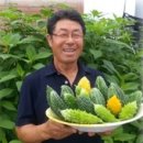 엄마농장 이미지