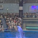 (주)조이커뮤니케이션 | [칸다외대 13주차] 인생은 엿같고 당신은 죽는다