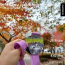 (유)태영 | 2025 YTN마라톤 하프코스 후기, 1시간 39분 12초, PB달성