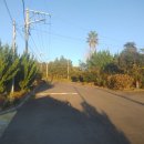 하원동-1 이미지