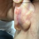 에버성형외과의원 이미지