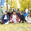 (주)은행나무 이미지