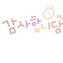 집으로가는퇘장군