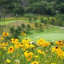 거제뷰골프텔 이미지