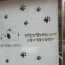 정말귀엽개