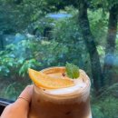 늘푸른 애견샵 이미지