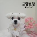 아롱 미용실 - 관악구 | 아롱 미용실