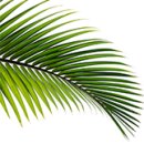 피부숨쉬다 이미지