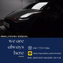 12곳의 PPF시공 플렉스 신차썬팅 후기