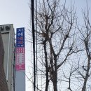 자혜내과의원 네이버블로그