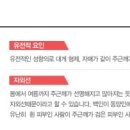 분당연세의원 네이버블로그