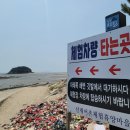 광어직판장 이미지