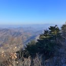 삼승 이미지
