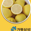 가평삼성의원 이미지