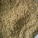 351-1-000010 이미지