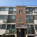 신유5차 Daum카페