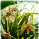 옹천경로당 이미지