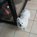 멍멍회관 이미지