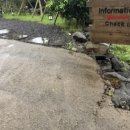 세도나중문 풀빌라 이미지