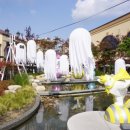 대형견프리미엄아울렛 이미지