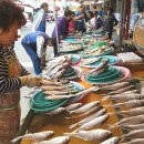 은아상회 이미지