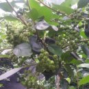 지선농장 이미지