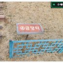 UR(경주시)-[감은로]-하-1 | 경주 지나가는 여행지 감은사지 3층 석탑 소소하게 가볼만한 곳