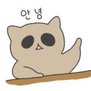 예가안경 네이버블로그