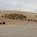 황금빛 모래사막을 체험할 수 있는 옥룡사호(사막), 달달선도로 (达达线) 이미지