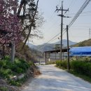원주굽이길 11코스 부귀영화길 이미지