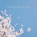 마음의봄