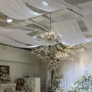 웨딩블랑 | 수원하우스웨딩 찾는다면? 라 블랑로즈 웨딩홀 투어 후기