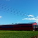 에그트리 이미지