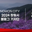 사파동155 이미지