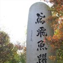 전주 건지산둘레길, 오송지에서 조경단 가는 길