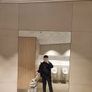 Dog Salon | 체코 프라하 - 눈 깜짝할 새에 지나간 첫 유럽여행