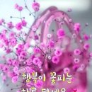 2024.3.12.(화) 서경방출석글(노여움을 푸는 방법) 이미지