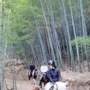 탑(TOP) 승마클럽 이미지