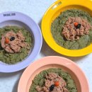 소.화식당 | 아기 강아지 화식 시작할 때 유용했던 포옹 앱 후기