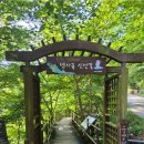 금사역 3번출구 이미지