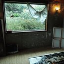 옥수민박 | 제주_애월,소길리 제주 시골가정집 느낌의 레트로 카페 &#34;골목카페옥수&#34;