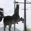 아날로그데이 이미지