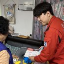 산림청 동부지방산림청 영월국유림관리소 티스토리