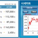 골드쉘화정