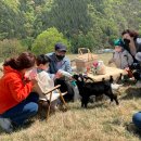 절골목장 이미지