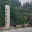 회나루 네이버블로그