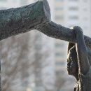 출토96 소나무 이미지